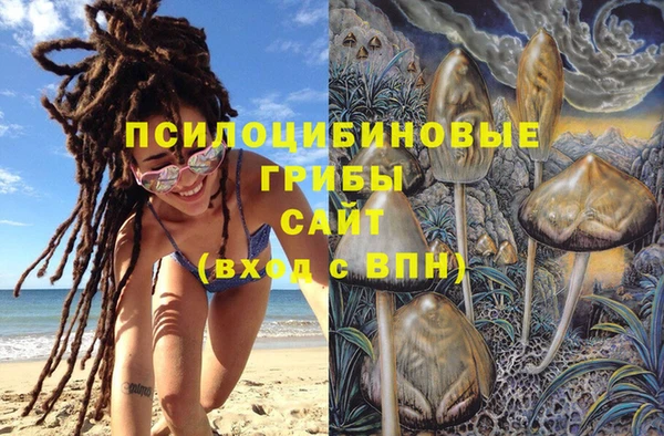 PSILOCYBIN Балахна